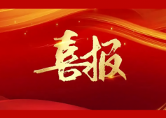 喜讯 | 公司荣获“瞪羚企业”称号